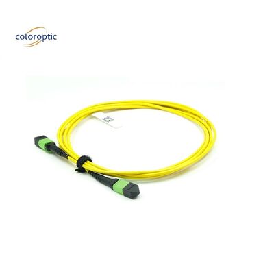 OM3 MPO Patch Cord 12 Core Aqua Fiber Optic Connector Untuk Jaringan yang Efisien