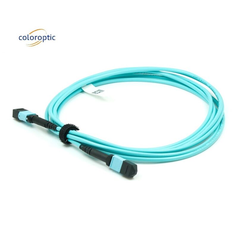 Serat G652D OM3 MPO Patch Kabel 1m Panjang Untuk Kebutuhan Bisnis