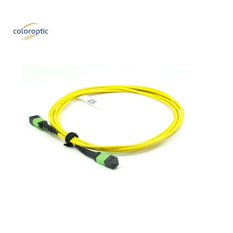 OM3 MPO Patch Cord 12 Core Aqua Fiber Optic Connector Untuk Jaringan yang Efisien