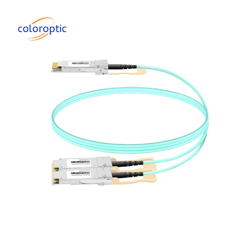 Kabel 3m AOC DAC 10Gbps 800G OSFP ke 2*400G QSFP112 Link